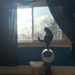 Meet your Posher, Jamie